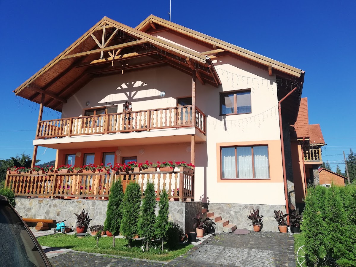 Pensiune Restaurant Teo, Bilbor