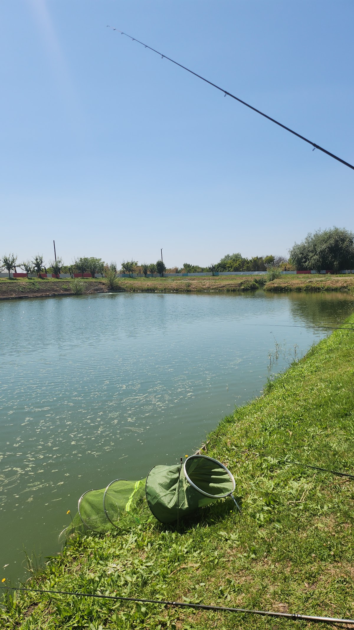 Pension und Unterkunft bei MITZA - foto 1