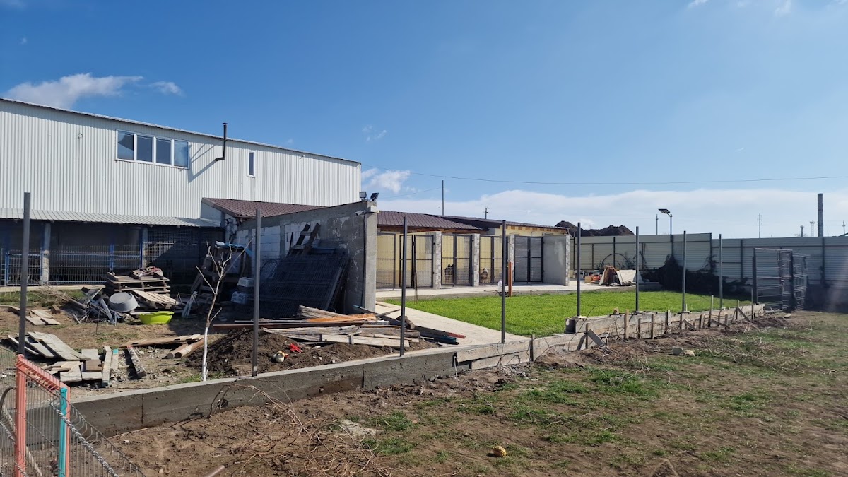 Pensión y Adiestramiento Canino Blue Dog - foto 3