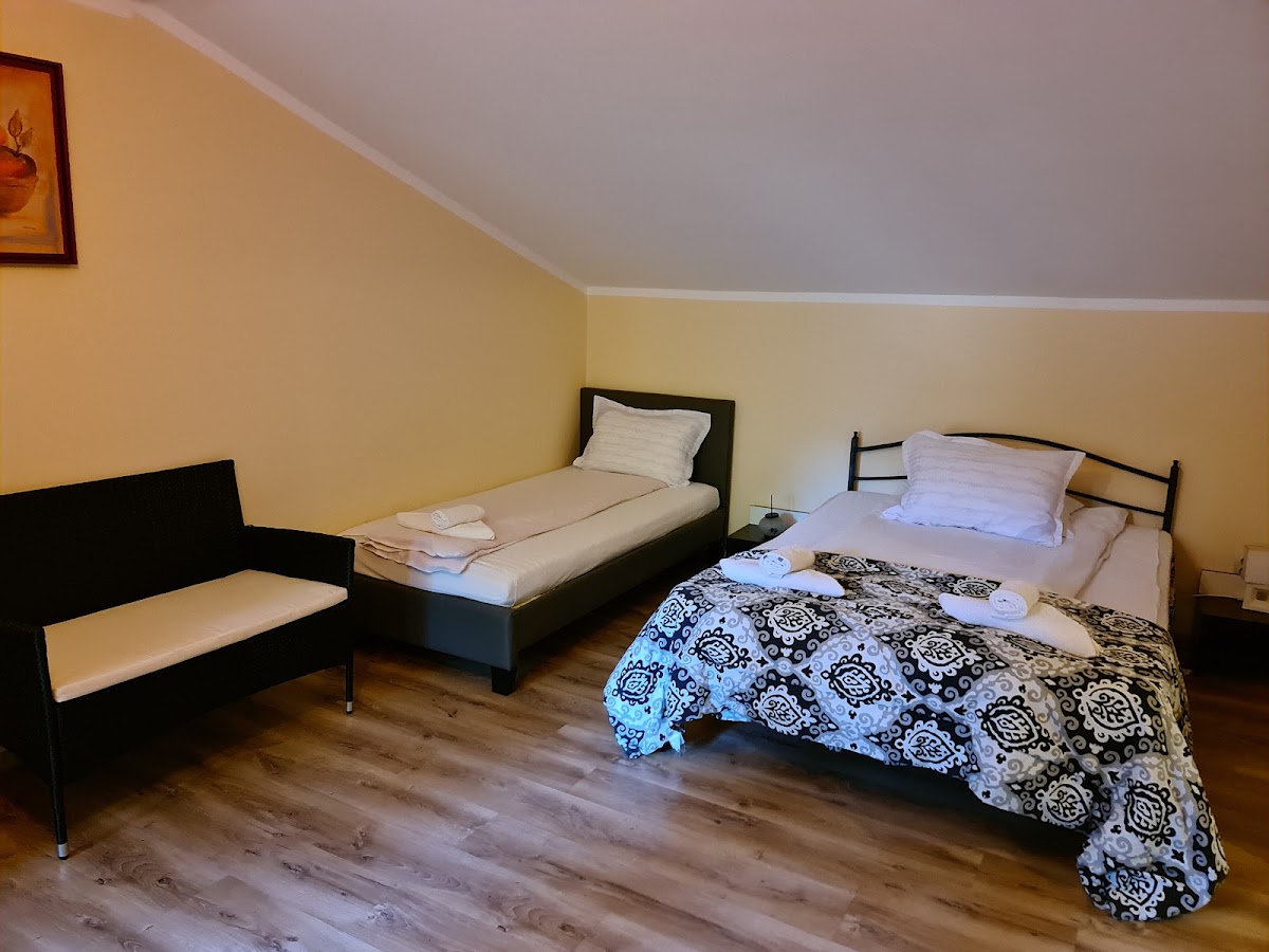 Pensiunea Agnes Cazare Viseu de Sus Maramures - foto 2