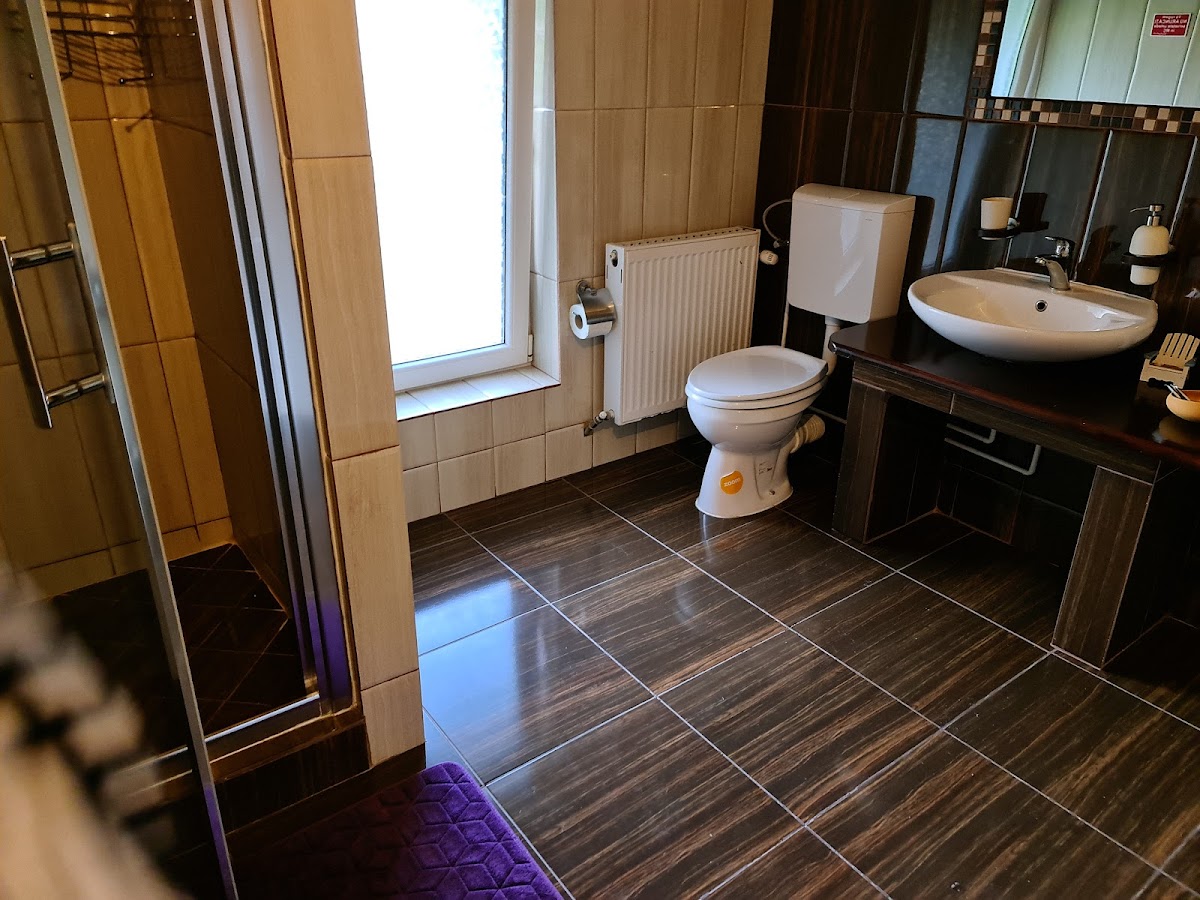 Pensiunea Agnes Cazare Viseu de Sus Maramures - foto 3