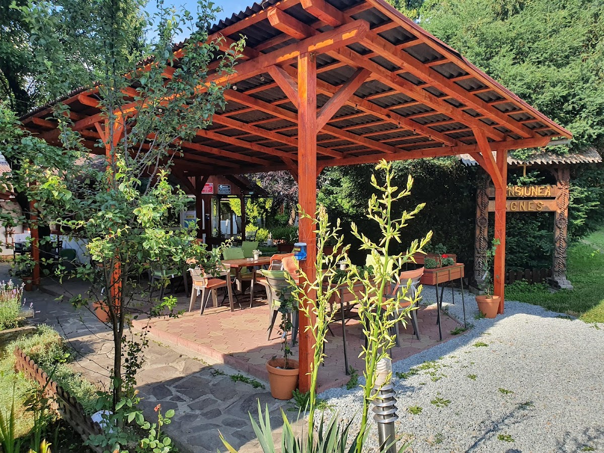 Pensiunea Agnes Cazare Viseu de Sus Maramures - foto 5