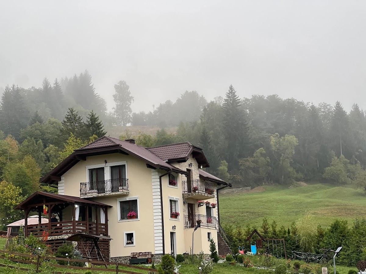 Pensiunea Agroturistică Amalia - foto 1