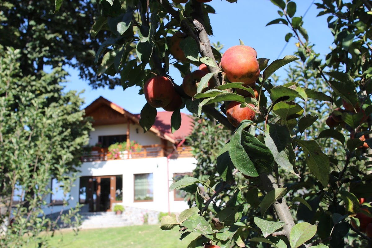 Chambre d'hôtes La Casa Boierului - foto 4