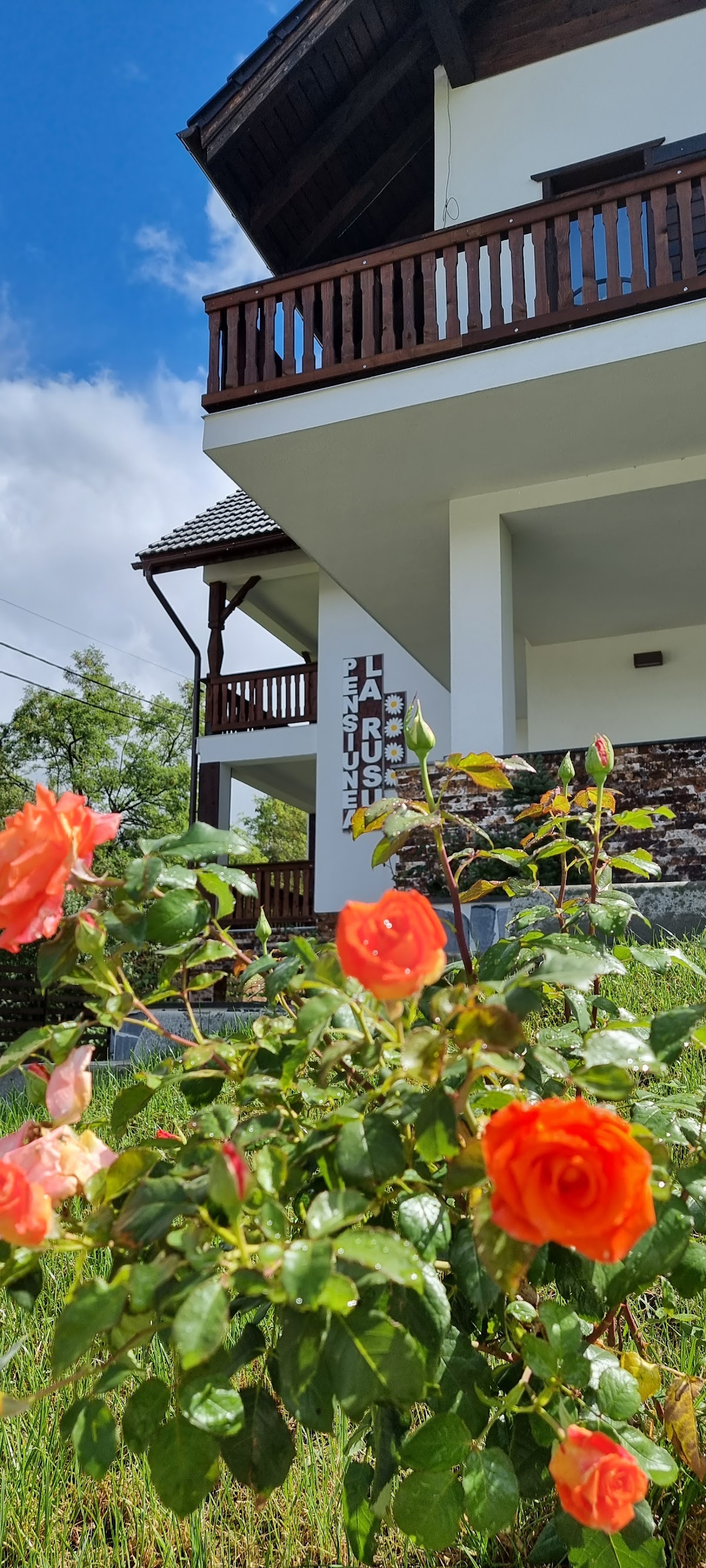 Agrotourismus LA RUSU - foto 4