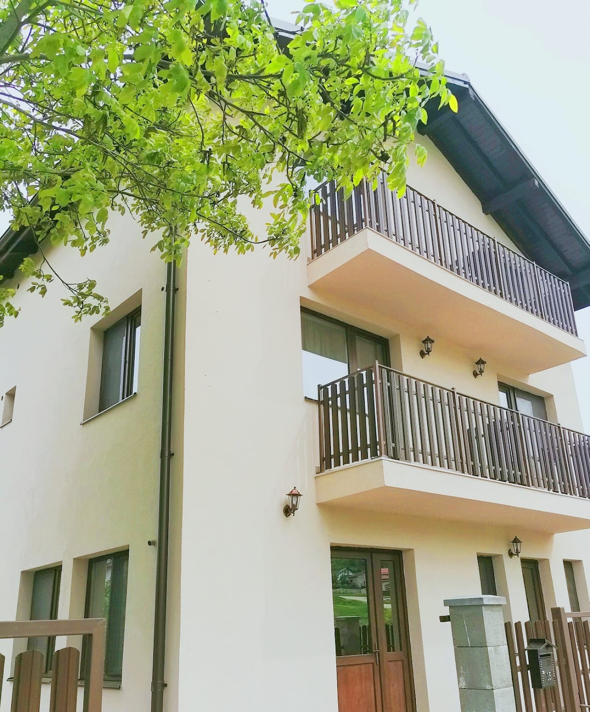 Pensiunea Albina - foto 1