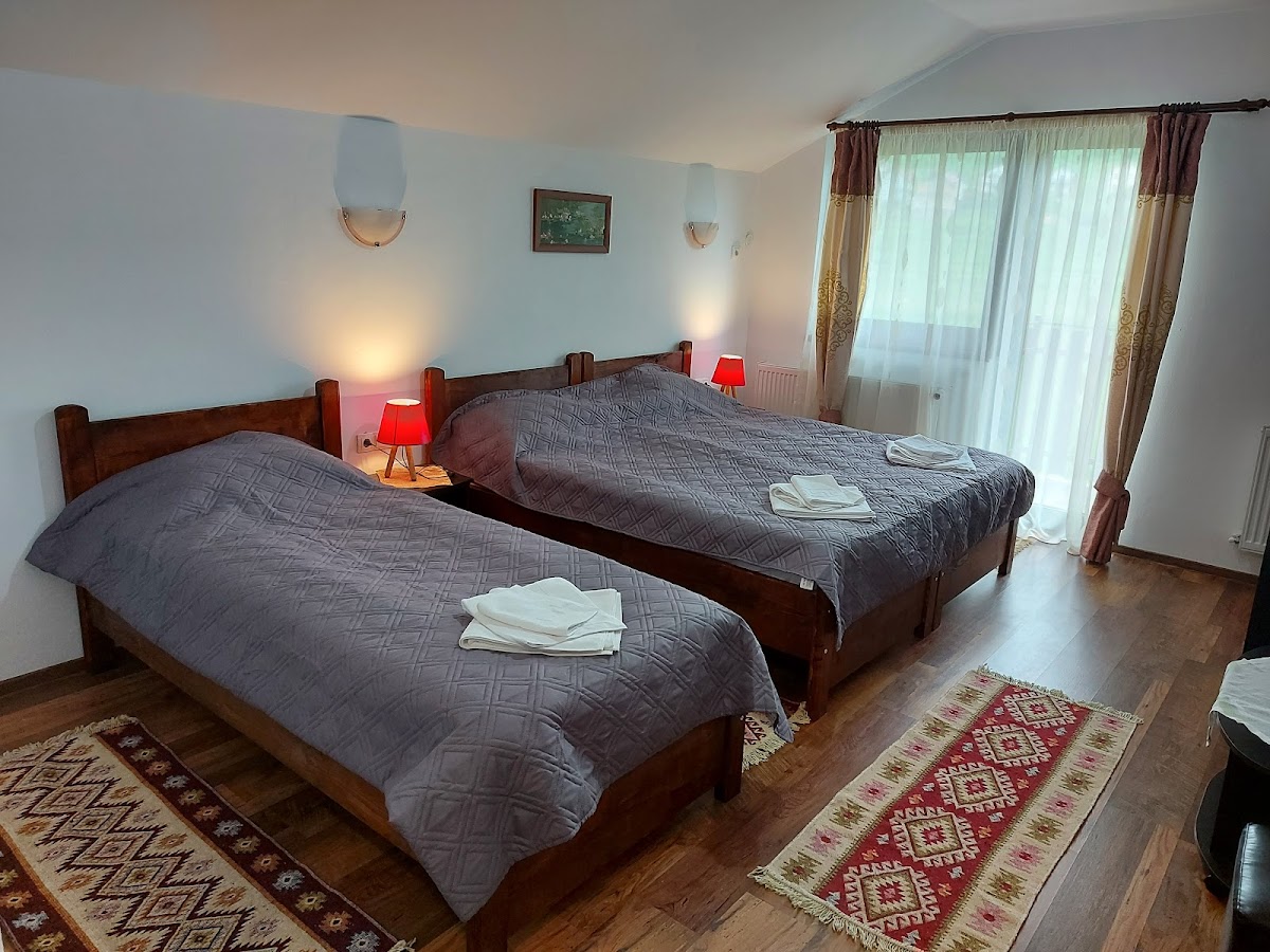 Pensiunea Albina - foto 2