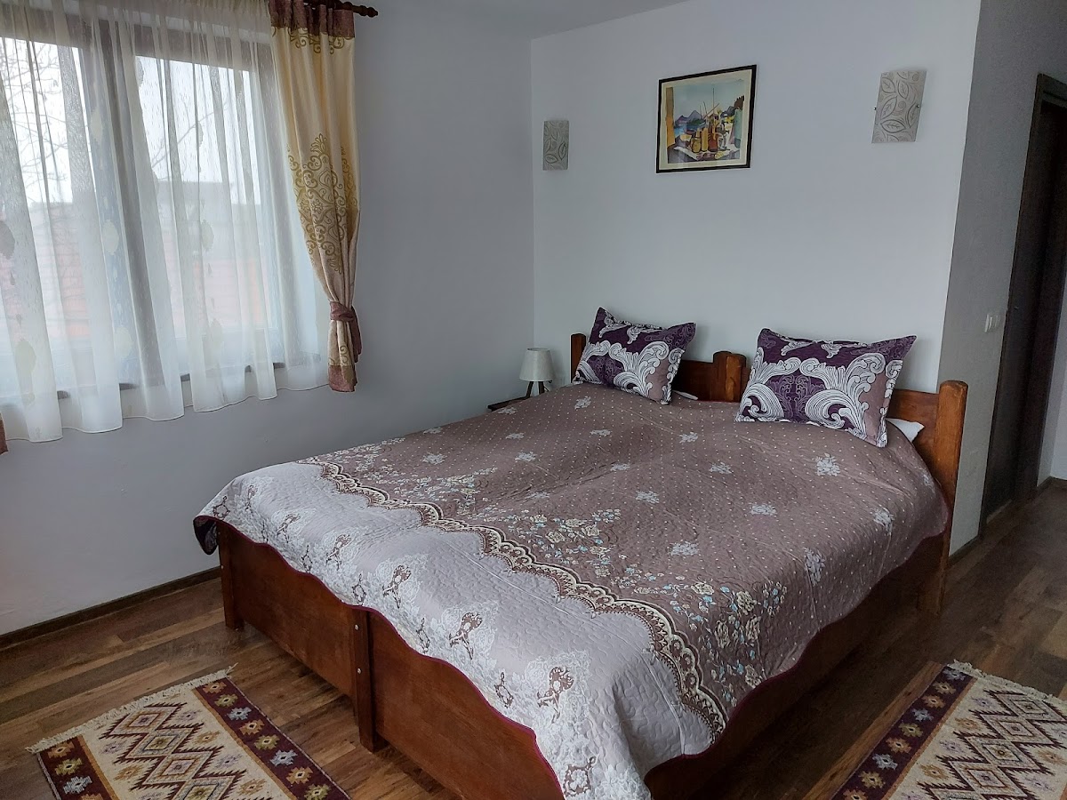 Pensiunea Albina - foto 4