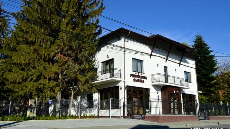 Pensiunea Alesia - foto 1