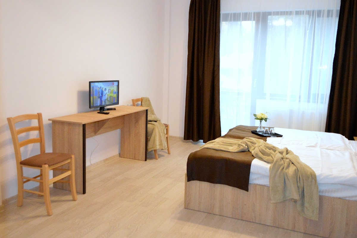 Pensiunea Alesia - foto 2