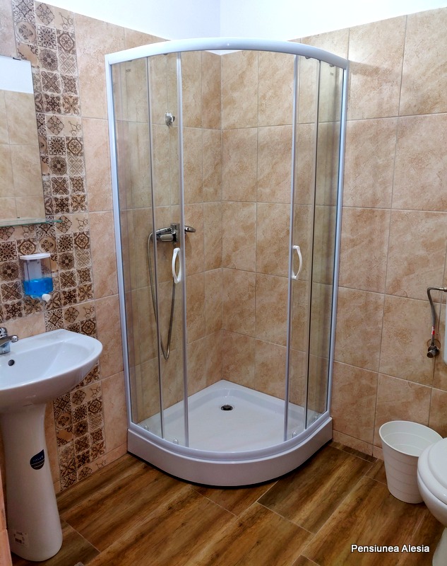Pensiunea Alesia - foto 3