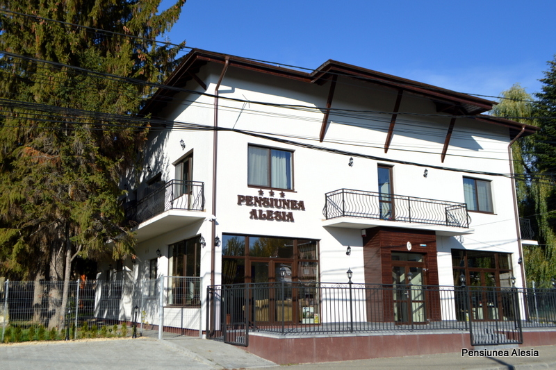 Pensiunea Alesia - foto 4
