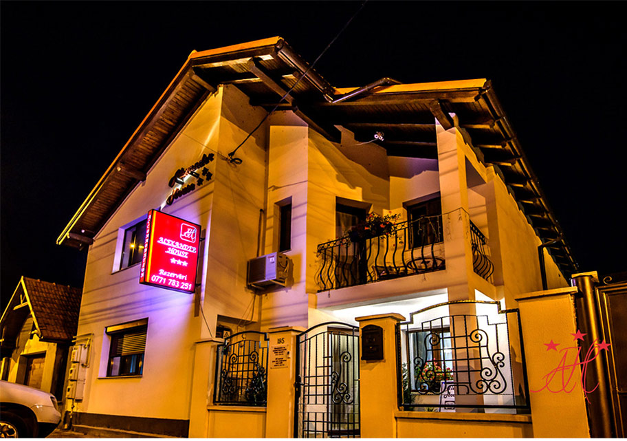 亚历山大之家客栈 - foto 1