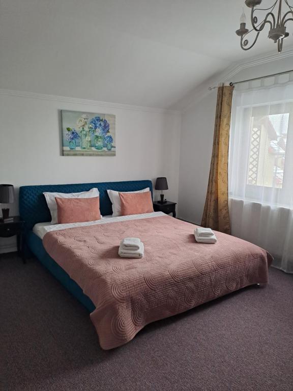 亚历山大之家客栈 - foto 4