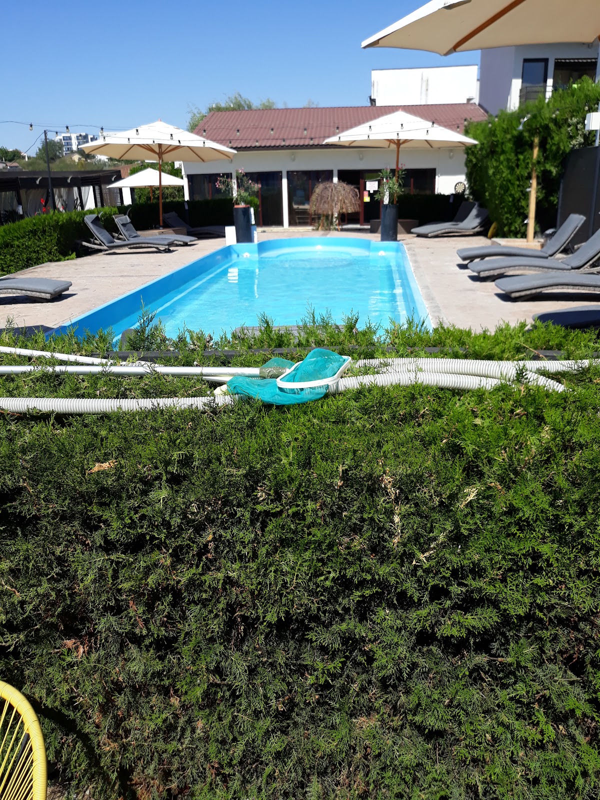 Pensiunea Alfa Mamaia Nord - foto 5