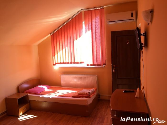Pensiunea Alin Filiasi - foto 2