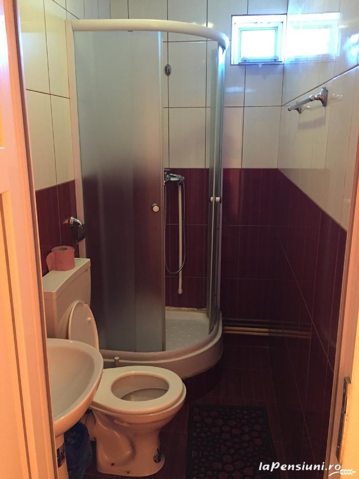 Pensiunea Alin Filiasi - foto 3