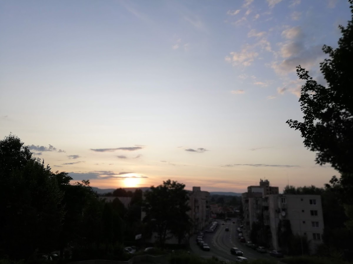 Pensiunea Alisa, Târgu Mureş
