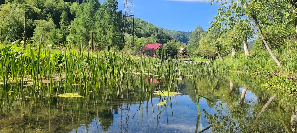Pensiunea Alunul