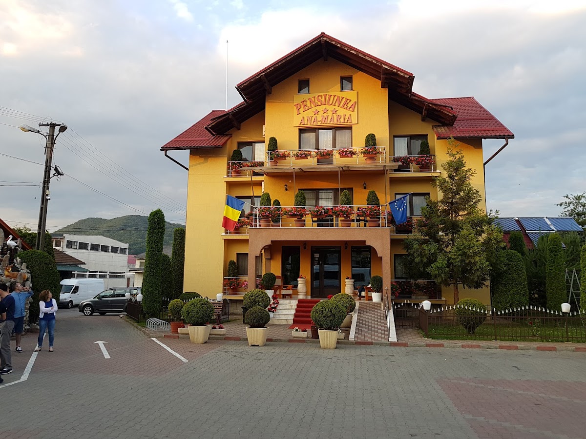 Pensiunea Ana Maria - foto 4