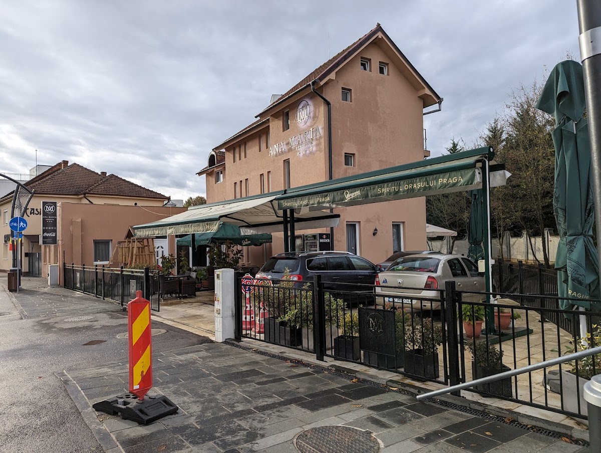 Pensiunea Ana Maria, Băile Felix