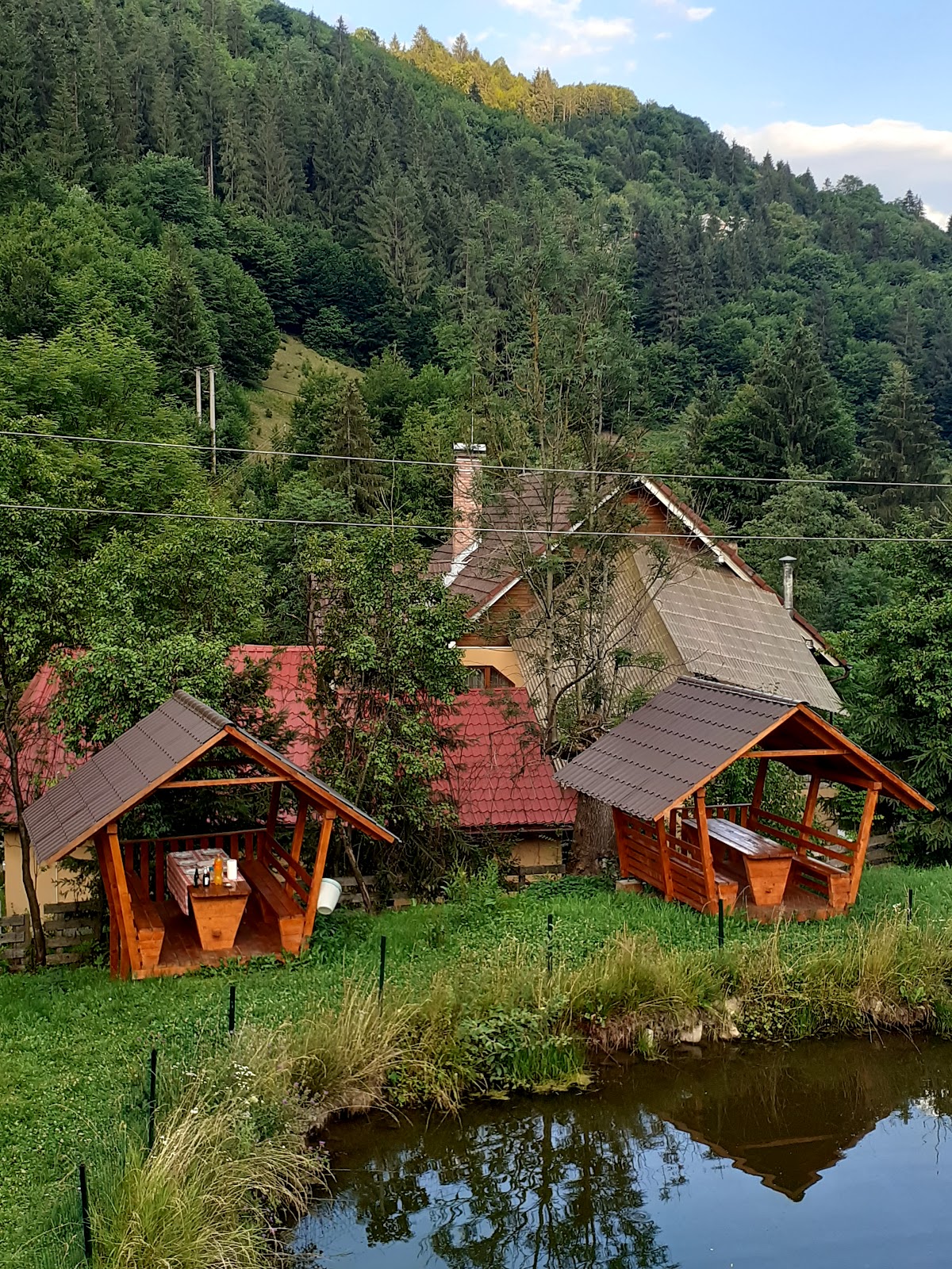 Pensiunea Andra Albac