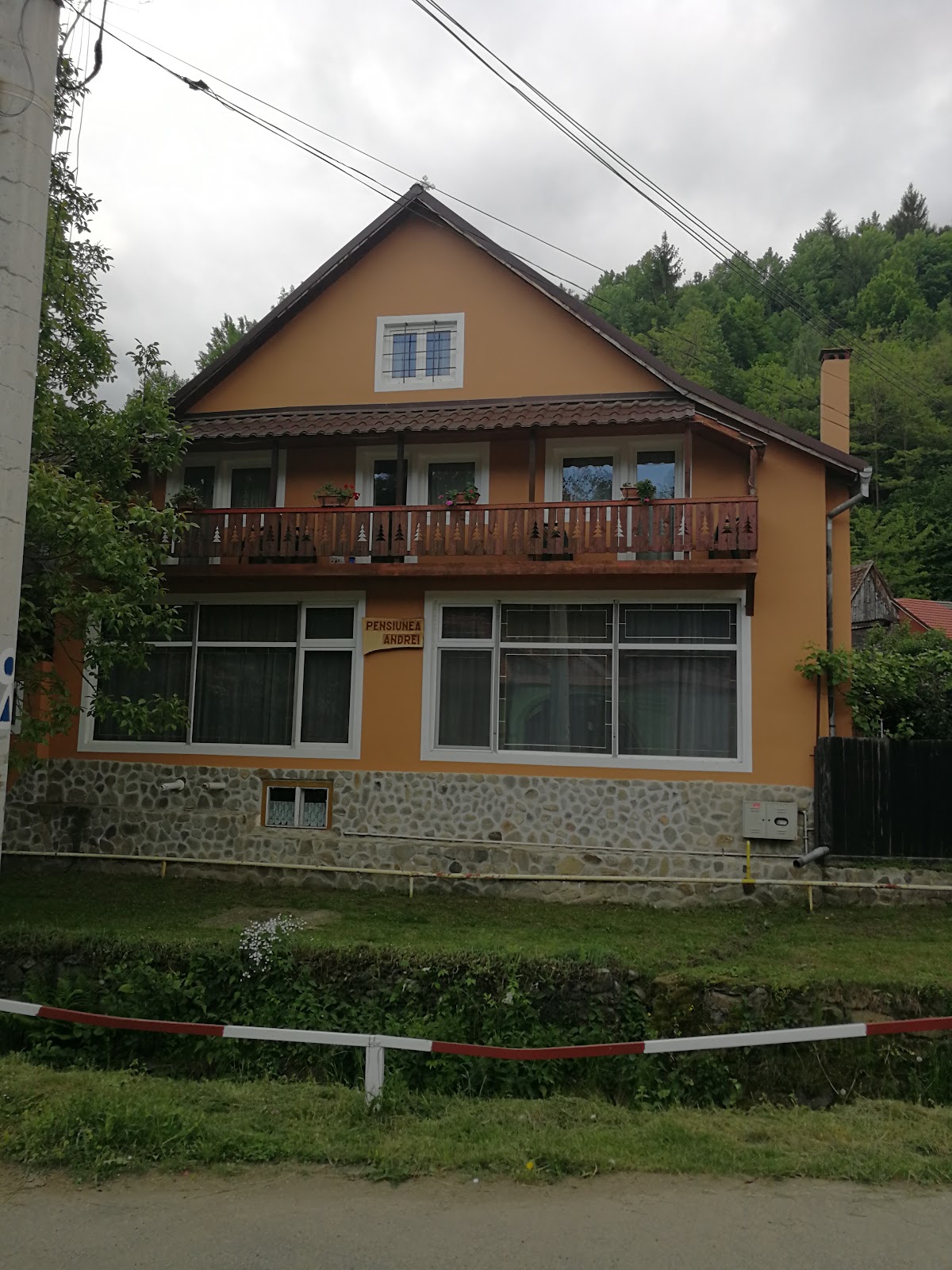 Pensiunea Andrei Sibiel - foto 4