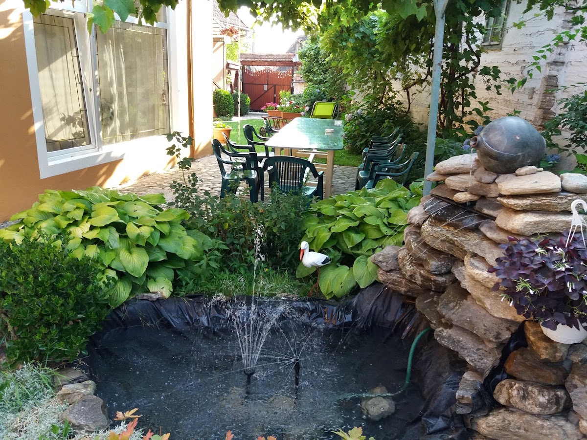 Pensiunea Andrei Sibiel - foto 5