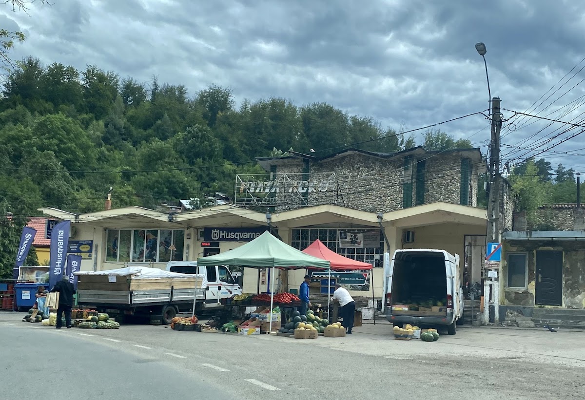 Pensiunea Anina - foto 1