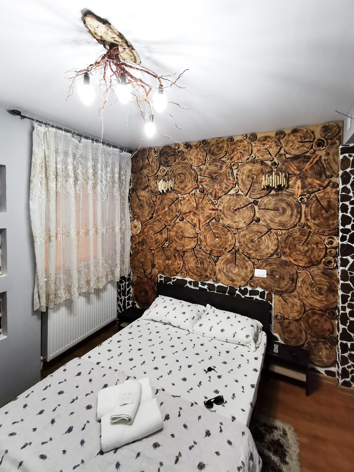 Pensiunea Anina - foto 2