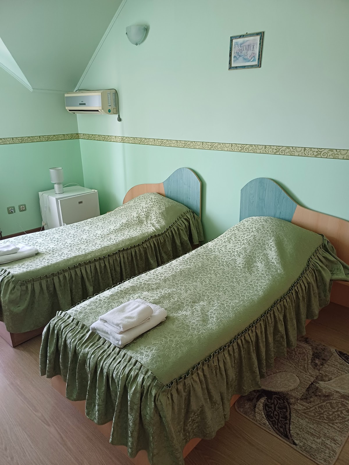 Pensiunea Ariana ** NADLAC - foto 2