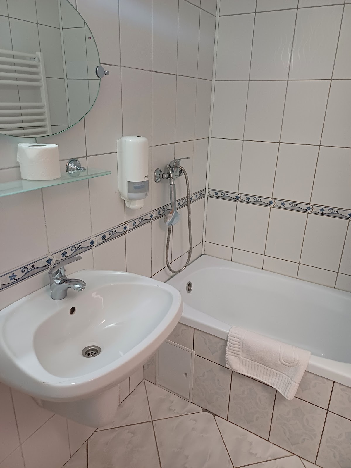 Pensiunea Ariana ** NADLAC - foto 3