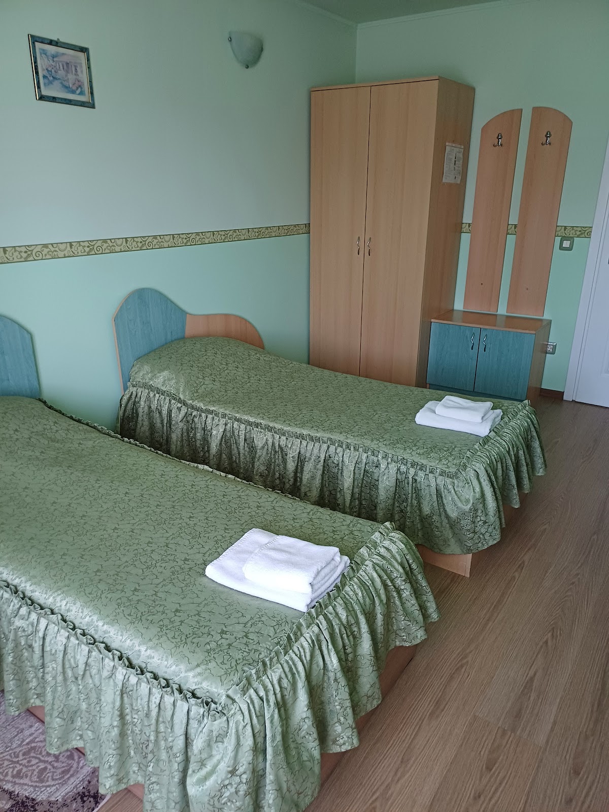 Pensiunea Ariana ** NADLAC - foto 4