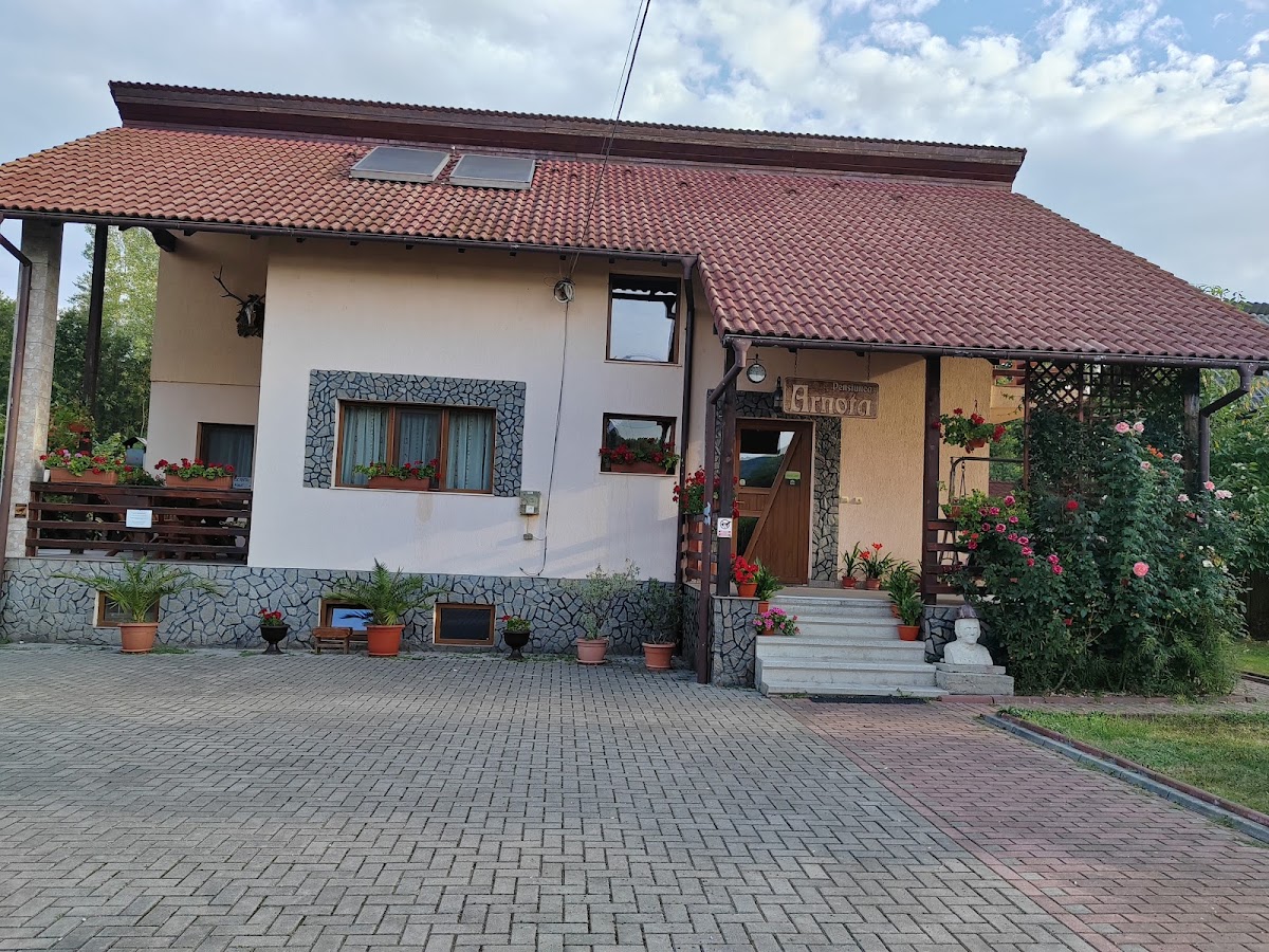 Pensiunea Arnota, Costeşti