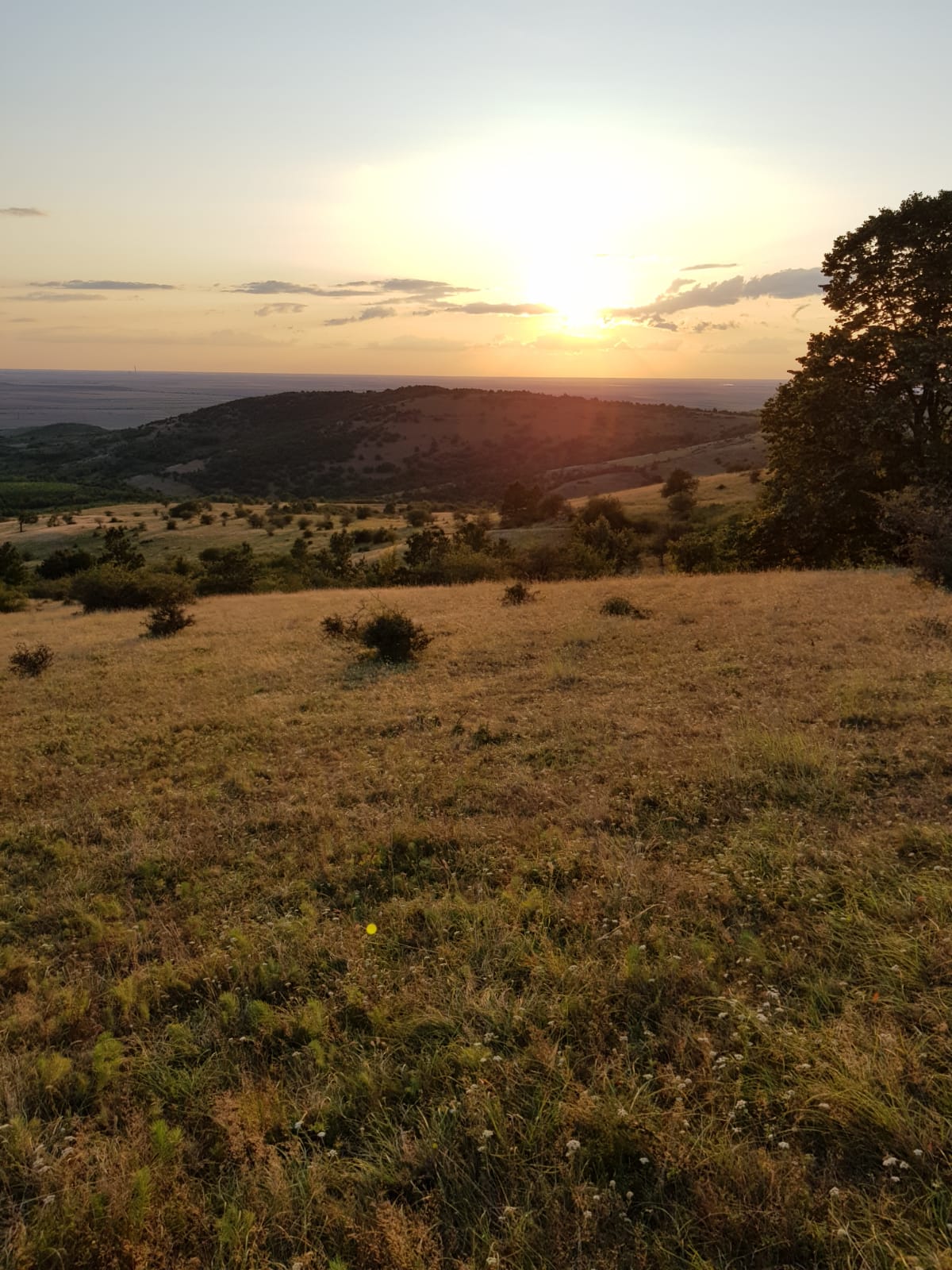 Pensiunea Aurelia - foto 5