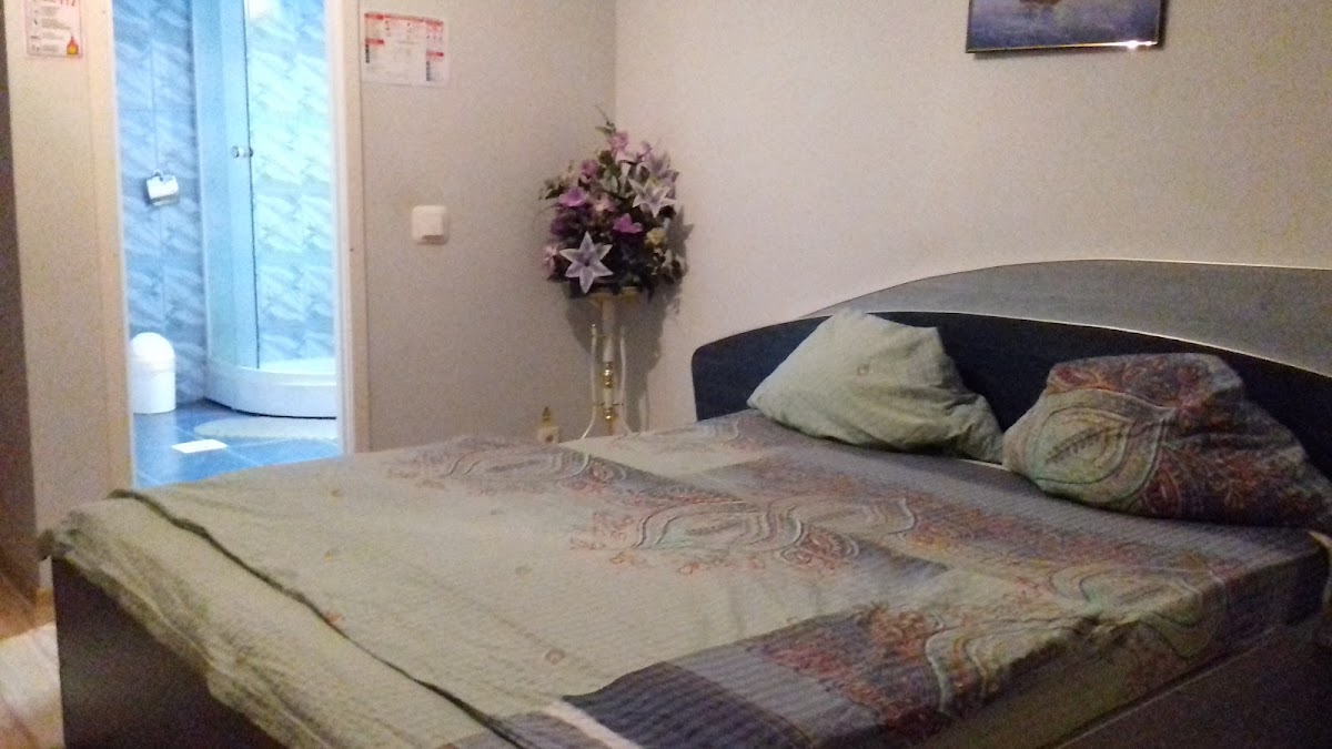 Pensiunea Aurmar - foto 2