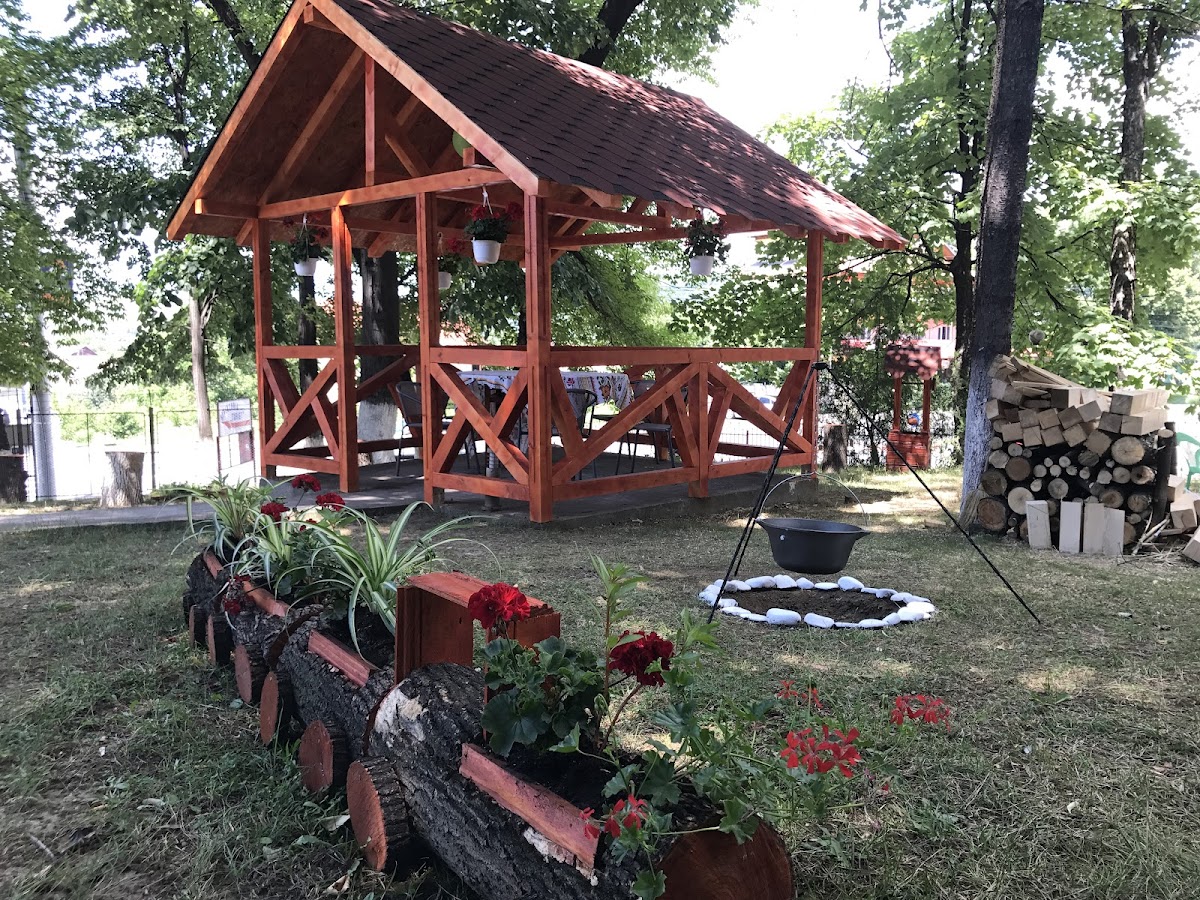 Pensiunea Basarabia - foto 3