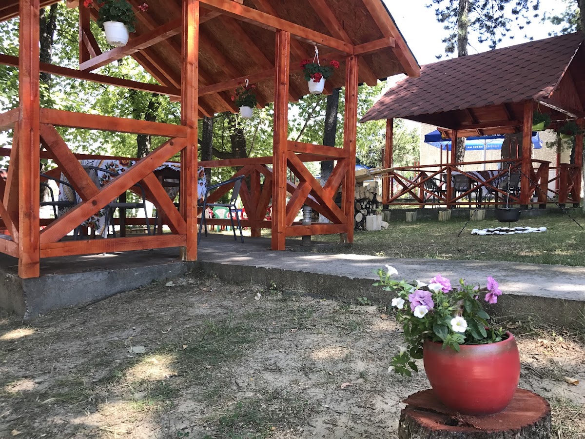 Pensiunea Basarabia - foto 5