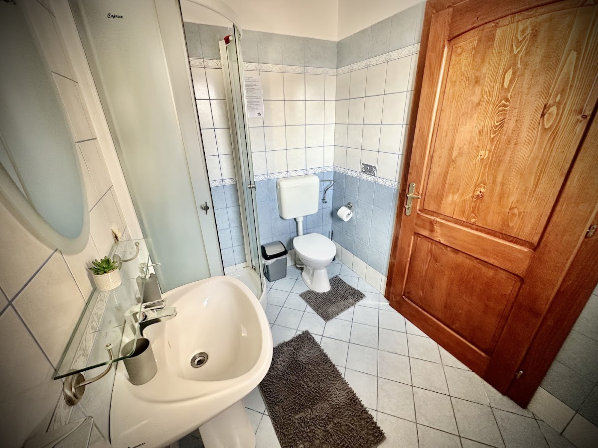 Pensiunea Beatrice - foto 4