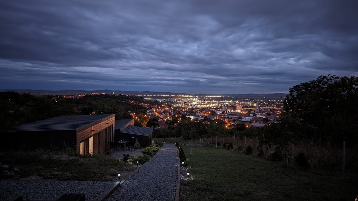 Pensiunea Bella Vista Turda - foto 4