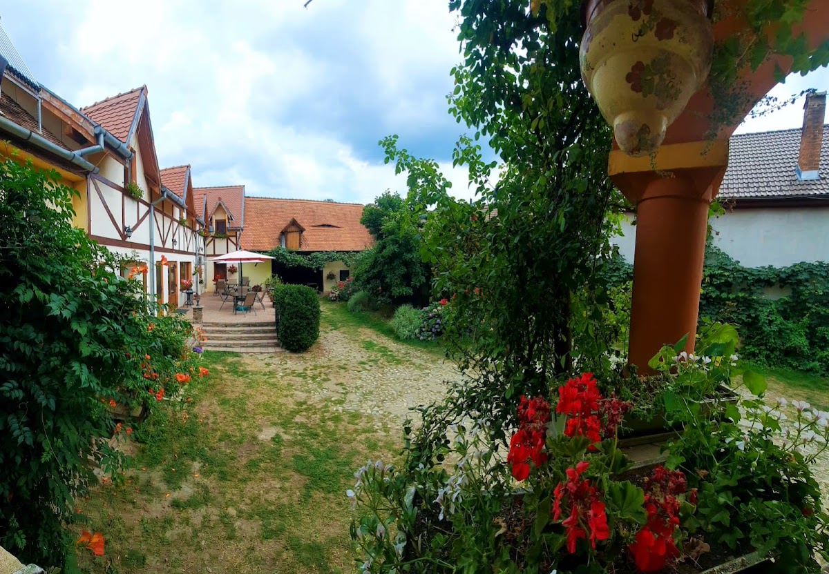 本多尔费阿努旅馆 - foto 1