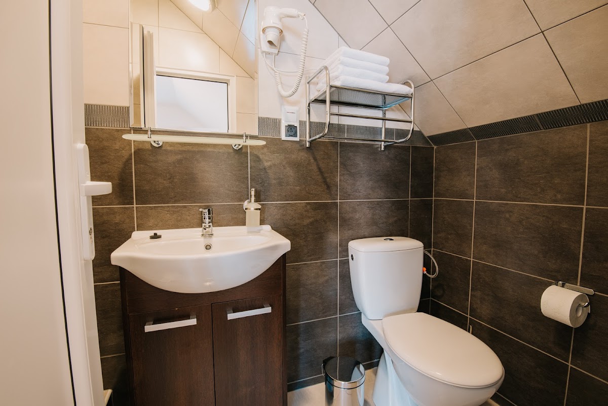 Pensiunea Biz - foto 4