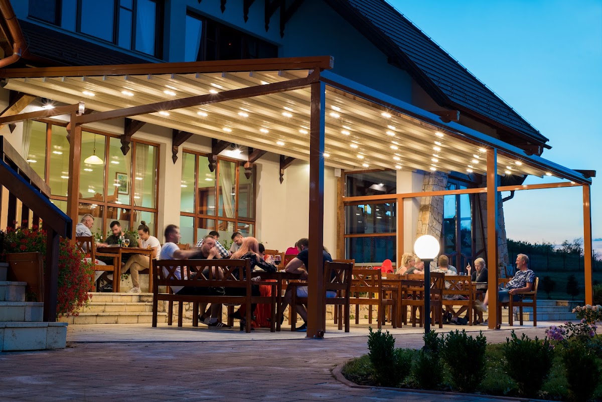 Pensiunea Bonanza - foto 1