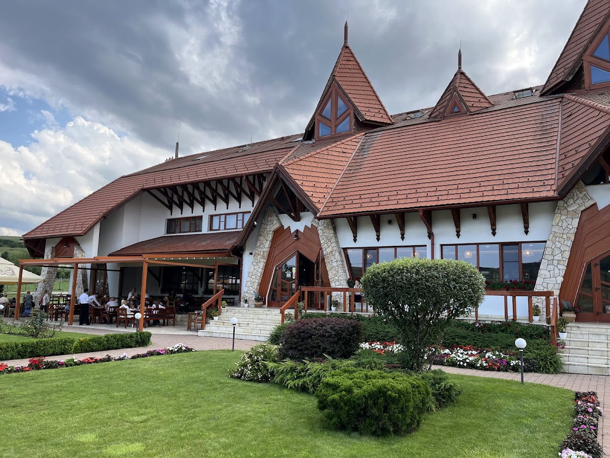 Pensiunea Bonanza - foto 3