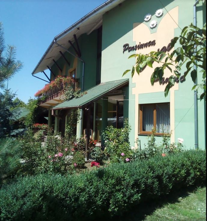 Pensiunea Brigi
