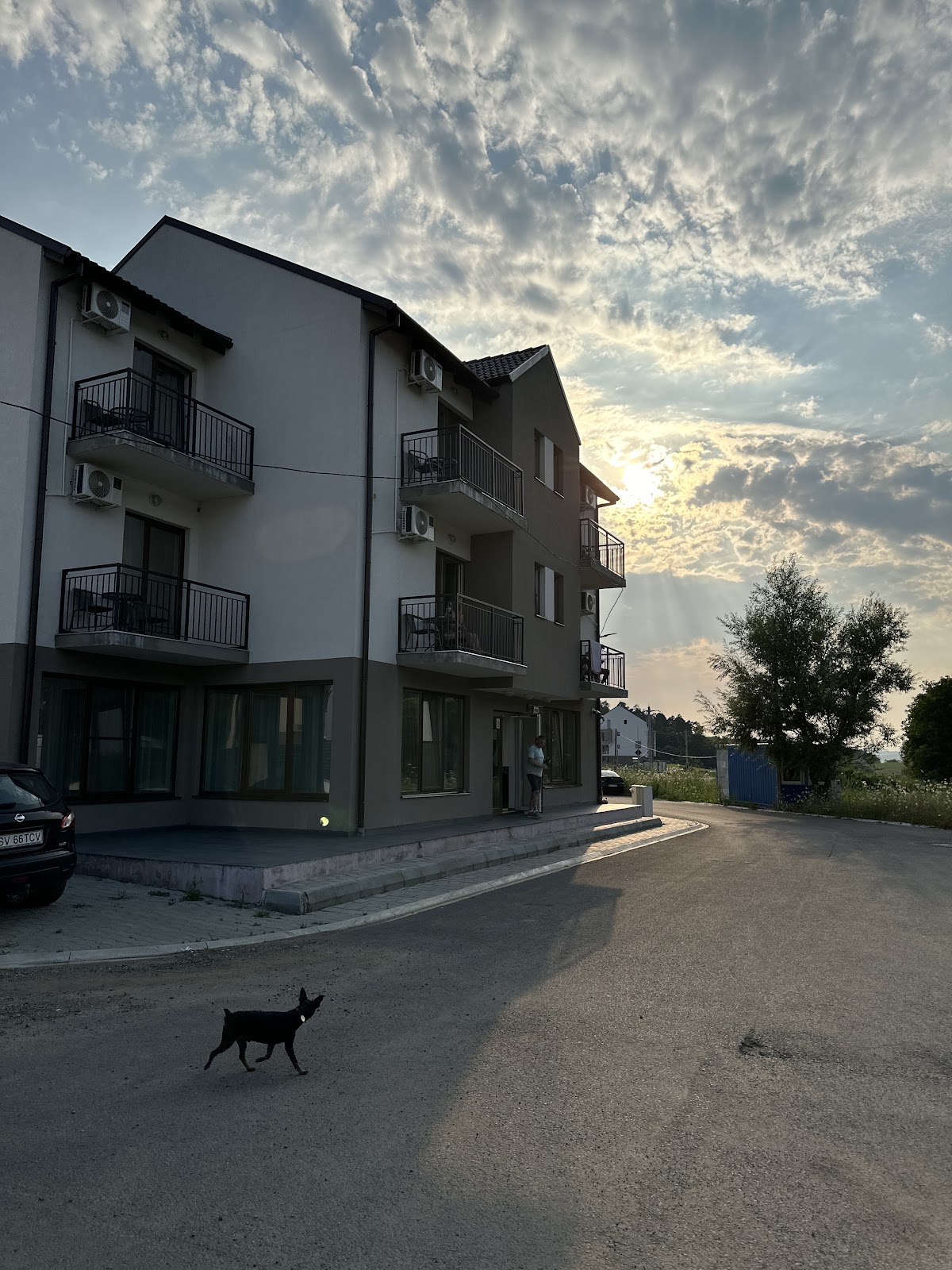 Pensiunea Budiu