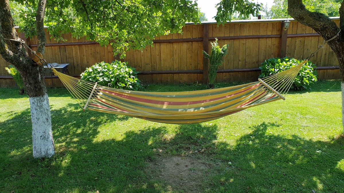 Pensiunea Bujor de Munte - foto 1