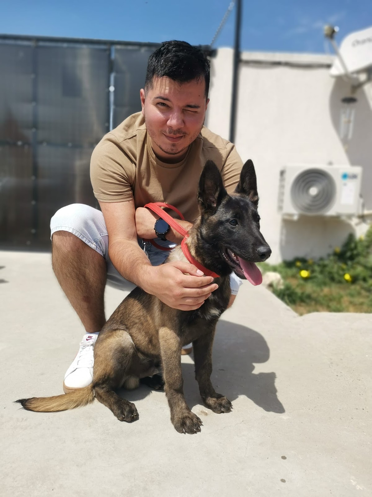 Pensiunea Canina Blue Dog
