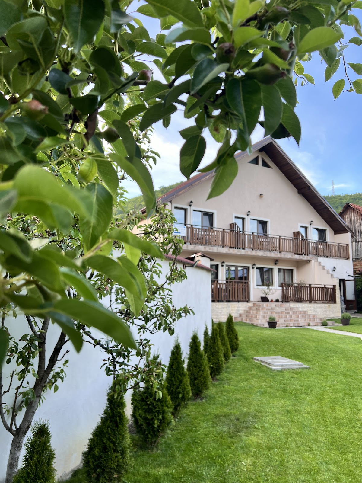 Pensiunea Casa Alexandra - foto 5