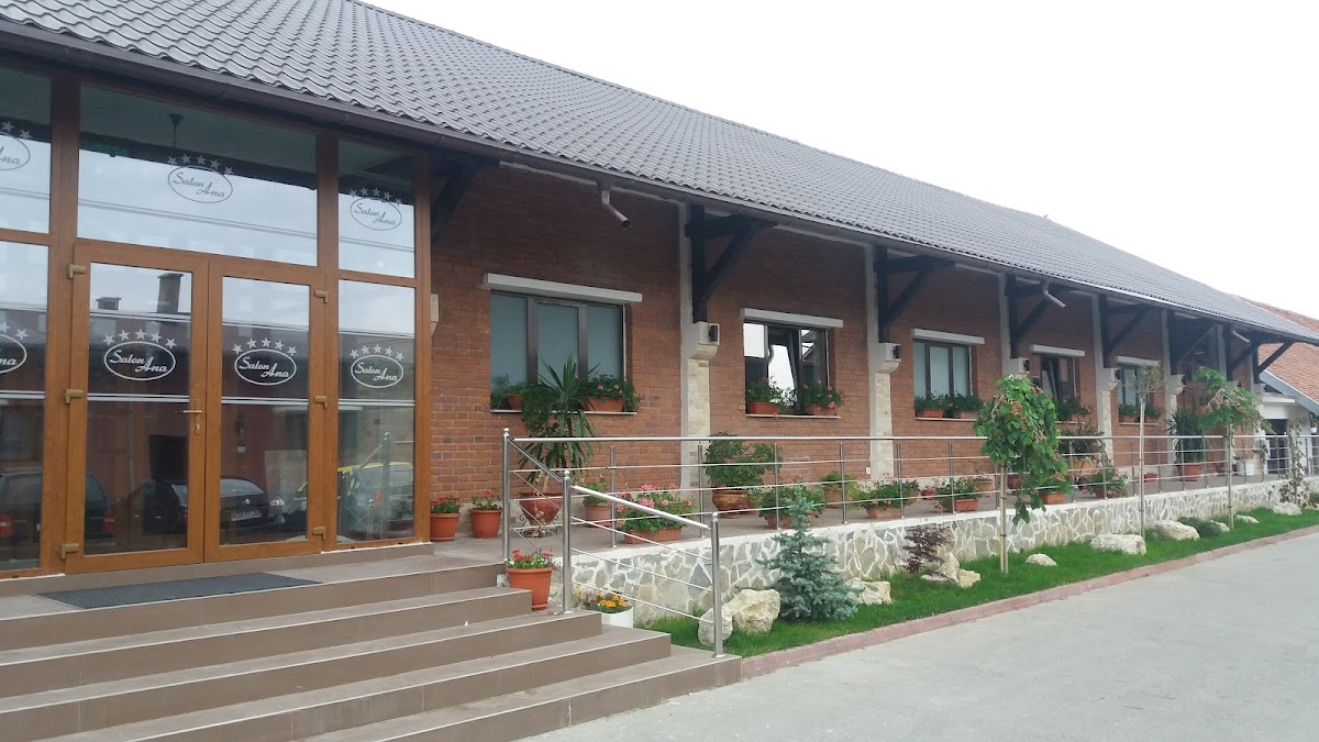 Pensiunea Casa Ana - foto 4